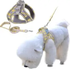 Item thumbnail for item b4c62ca6-0931-43e2-8baf-c6018d324daf