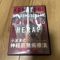 小波津式神経筋無痛療法LEGEND DVD4枚+特典Disc +極意Ver2.0 小波津式神経筋無痛療法LEGEND DVD4枚+特典Disc +極意Ver2.0