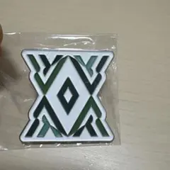 【非売品】大阪関西万博　サウジアラビア　ピン