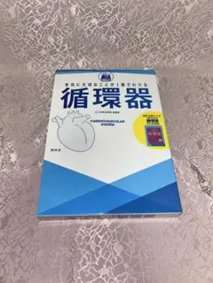 本当に大切なことが1冊でわかる 循環器　ミニブック付