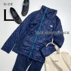 THE NORTH FACEノースフェイス サミットシリーズダウンジャケット青L