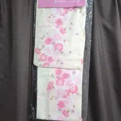 Item thumbnail for item cae13058-711b-4a02-bb94-02747f4cd921