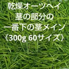 Item thumbnail for item a3b24653-c503-4321-b738-9a302170e766