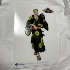 ONEPIECE 出張店 クリアファイル 新宿 京王百貨店 特典 ゾロ