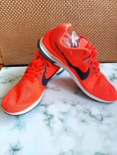 25.5cm NIKE ZOOM STREAK LT3　ナイキ