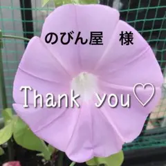 口腔ケアスポンジ ケアハート 口腔専科 お口きれいスポンジ 介護用歯ブラシ