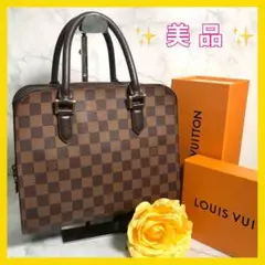 ✨美品✨ルイヴィトン トリアナ ハンドバッグ ダミエ