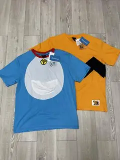 Item thumbnail for item e0985644-5ea3-45c9-91aa-68e4c74a0258