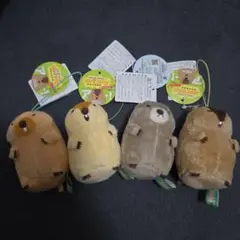 マーモットのもっとっと モア VMC ぬいぐるみ　マスコット 全4種類セット