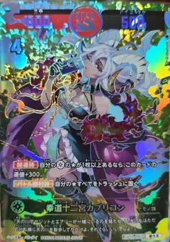 幸道十二宮カプリコン　超大吉
