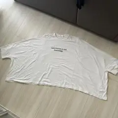 GANRYU ガンリュウ モモンガTシャツ