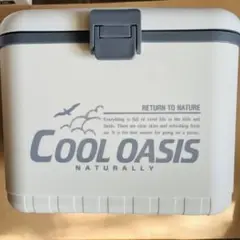 ハンディークーラー クールオアシス Amazon | ヤマノクリエイツ ポータブル冷風機 CoolOasis(クール