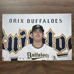 オリックス・バファローズ 太田椋 31 オールスター ポストカード