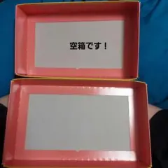 【空箱】ポケモン 東京ばな奈 4個入り用 ピカチュウ