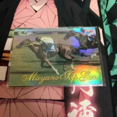 The Victory 1999 マヤノトップガン