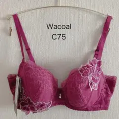 Item thumbnail for item 44be366e-bbf2-4171-8da7-bce630554598