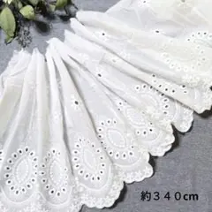 Item thumbnail for item 4bfe003f-9727-4b79-bb97-26ac59e78a5d