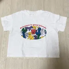 しまむら　チマジロ　犬　カラフル　半袖　Tシャツ　110 白　micorrid