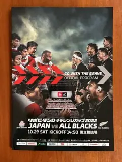 リポビタンD チャレンジカップ 2022 プログラム