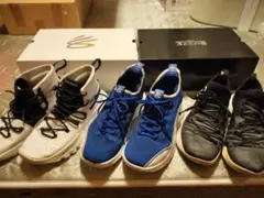 Item thumbnail for item 3f370dc8-34d7-4f4c-9aa3-adaa61a46055