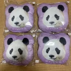 新発売　アドベンチャーワールド　パンダ　クッション　総選挙　浜家　おまとめ