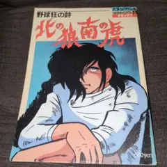 野球狂の詩  北の狼南の虎  パンフレット アニメ 野球狂の詩 北の狼南の虎 パンフレット 水島新司 - メルカリ