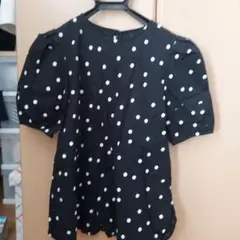 ドットセットアップ