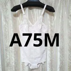 Item thumbnail for item cbad5965-1440-4e01-8c3f-c5f9638c4fd5