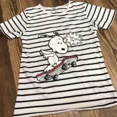 スヌーピー ストライプ Tシャツ 160 半袖