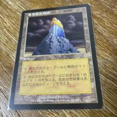 ⭐︎MTG爆買キング⭐︎　色褪せた城塞　日本語