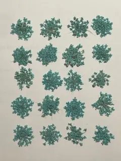 押し花素材パック　レースフラワー（水色）20個入 No1061