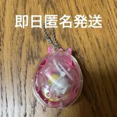 【即日匿名発送】Tamagotchi Collectibles Poop