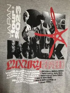 美品　ONE OK ROCK JAPAN TOUR 2023 Tシャツ
