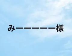専用③