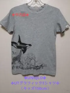 《中古品》【ユニクロ】UT グラフィックTシャツ〈キッズ150cm〉☆