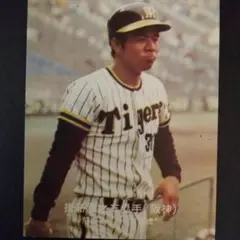 カルビー野球カード 77年 No.大-67 掛布 雅之