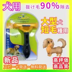 Item thumbnail for item be07c260-056a-4279-b15f-786b3f1799b1