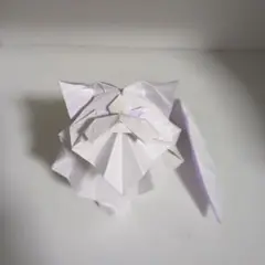 ペルシャ猫　(persian cat)
