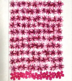 押し花素材、バーベナ。