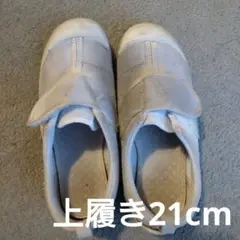 上履き21cm