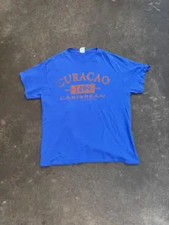 古着　00s デルタ　delta L 青 半袖Tシャツvintage 掘り出し物