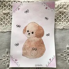 原画　水彩画　トイプードル　犬　リボン　ポストカード　手描き　アナログイラスト