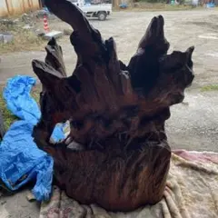 Item thumbnail for item 10b0e2bf-f865-4a27-b2ab-4660be7c1463