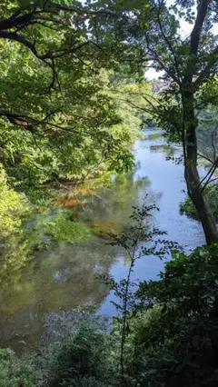 Item thumbnail for item dc35c5f3-e962-4c69-a44c-77d6df64cd1c