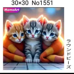 ダイヤモンドアートキット　No1551