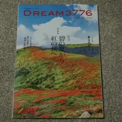DREAM3776 新品未使用　美品　本