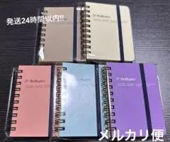 Item thumbnail for item 83cf02da-56b2-4964-9f7d-8a5ac6a8e398