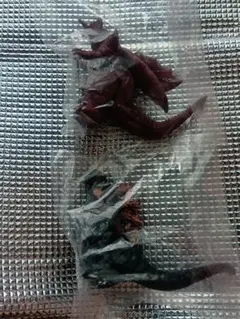 Item thumbnail for item c18e7ff6-30ad-46cf-9f52-9bf936ff2523