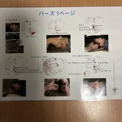 アクセスバーズ プラクショナー［施術者］講義テキスト、ヘッドチャート2枚組 アクセスバーズ プラクショナー［施術者］講義テキスト、ヘッド