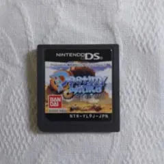 DSソフトのみ　デスティニーリンクス　動作確認済み